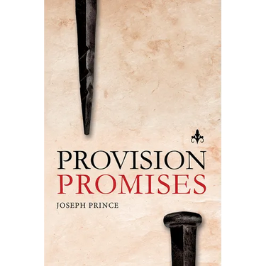 Provision Promises