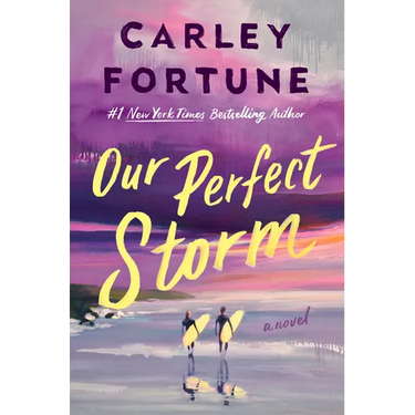 Our Perfect Storm