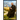 The Letters of Komitas Vardapet