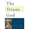 Triune God: An Essay in Postliberal Theology