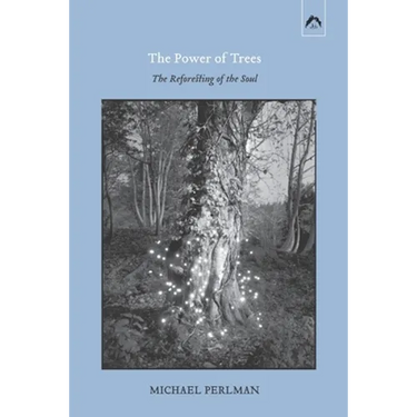 The Power of Trees: The Reforesting of the Soul