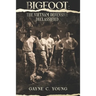 Bigfoot: The Vietnam Defensive Declassified