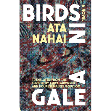 Birds in a Gale