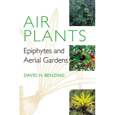 Air Plants: Epiphytes and Aerial Gardens