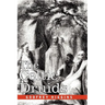 The Celtic Druids