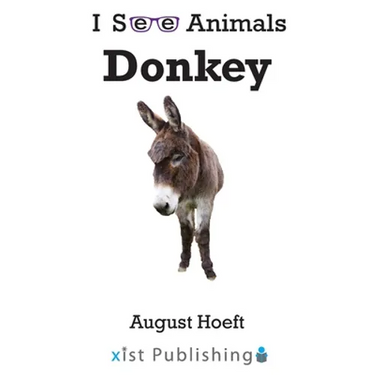 Donkey