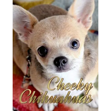 Cheeky Chihuahuas