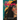 Anacaona: The Golden Flower Queen