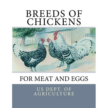 Breeds of Chickens for Meat and Eggs
