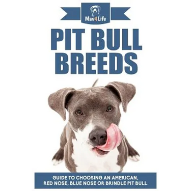 Pit Bull Breeds: Guide to Choosing an American, Red Nose, Blue Nose or Brindle Pit Bull