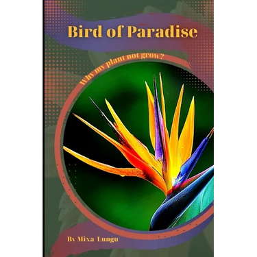 Bird of Paradise: Why my Plant not grow? problems and their solutions