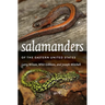 Salamanders of the Eastern United States