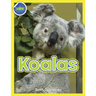 Koala Activity Workbook ages 4-8