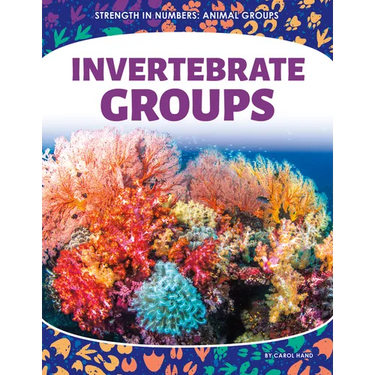 Invertebrate Groups
