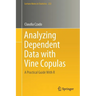 Analyzing Dependent Data with Vine Copulas: A Practical Guide with R