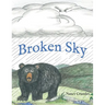 Broken Sky