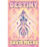 Destiny: The Go David Chronicles Book Three
