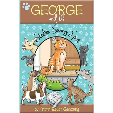 George and the Stolen Sunny Spot