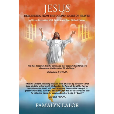 Jesus Descending from the Golden Gates of Heaven: A Divine Revelation With Jesus And Four Biblical Heroes