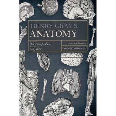 Henry Gray's Anatomy: Surgical and Descriptive