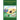 Treasure Hunting: A Journey Toward Intimacy-An Autobiography