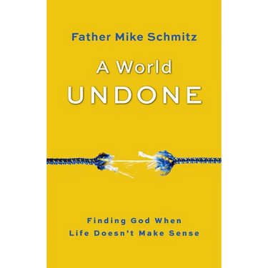 World Undone: Finding God When Life Doesn't Make Sense