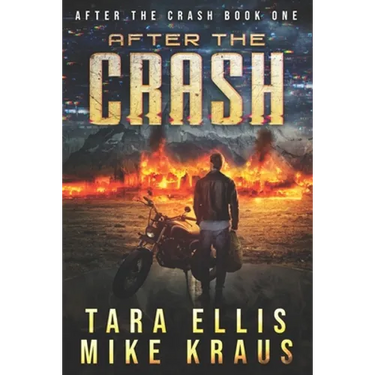 After the Crash: After the Crash Book 1