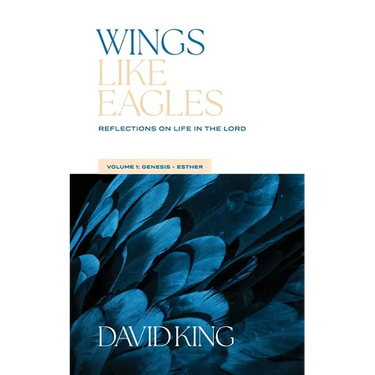 Wings Like Eagles Vol 1