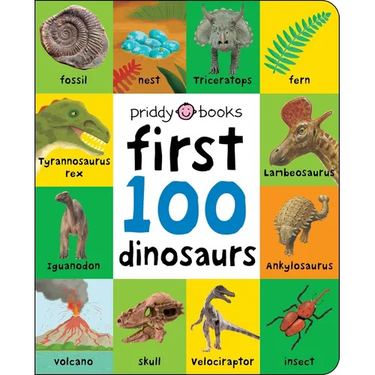 First 100 Dinosaurs: A Padded Book--Perfect for Little Hands to Hold