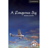 A Dangerous Sky Level 6 Advanced