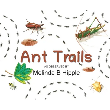 Ant Trails
