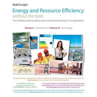 Energy and Resource Efficiency without the tears: The complete guide to to adding value and sustaining change in an organization.