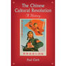 The Chinese Cultural Revolution: A History