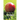 Rule Book of Games: Cricket