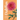 Dahlias: A Little Book of Flowers