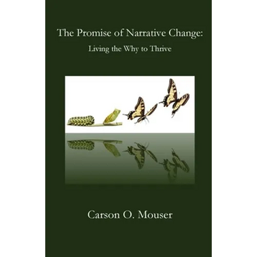 The Promise of Narrative Change