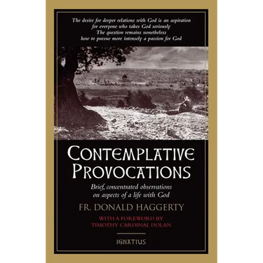 Contemplative Provocations: Brief, Concentrated Observations on Aspects of a Life with God