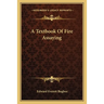 A Textbook Of Fire Assaying