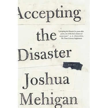 Accepting the Disaster: Poems