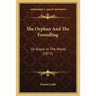 The Orphan And The Foundling: Or Alone In The World (1872)