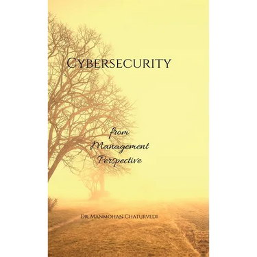 Cybersecurity: from Management Perspective