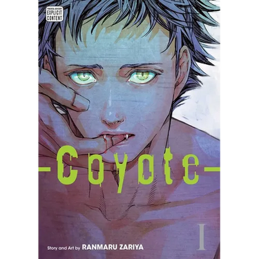Coyote, Vol. 1