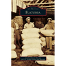 Flatonia