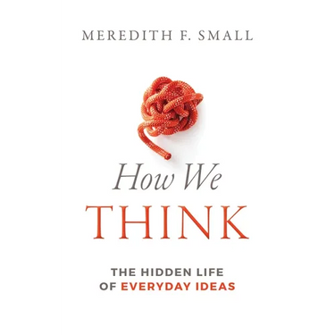 How We Think: The Hidden Life of Everyday Ideas