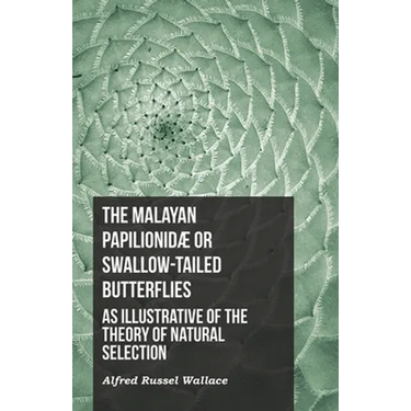 The Malayan Papilionidæ or Swallow-tailed Butterflies, as Illustrative of the Theory of Natural Selection