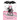 Isadora Moon Rides a Bike