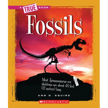 Fossils (a True Book: Earth Science)