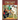 Learn to Play Cricket: A Pictorial Manual for Kids