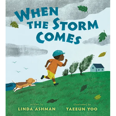 When the Storm Comes