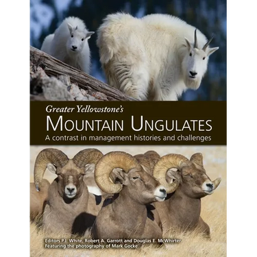 Greater Yellowstone's Mountain Ungulates: A Contrast in Management Histories and Challenges: A
